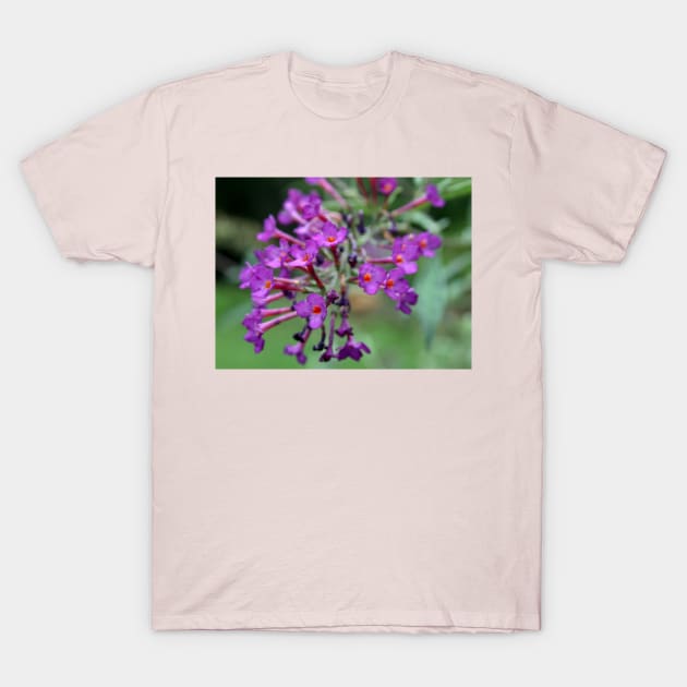 Wildflower T-Shirt by Rob Johnson Photography